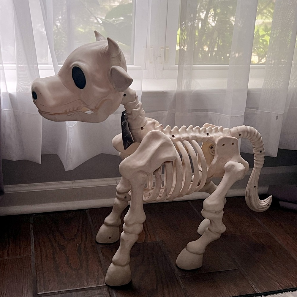 Viral Skeleton Cow